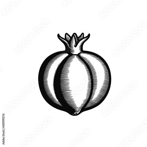 Pomegranate vector. Isolated fruit on white background. Vector illustration 