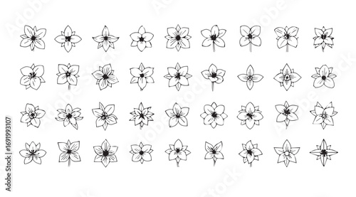 Collection of intricate decorative ornate flourish elements silhouette