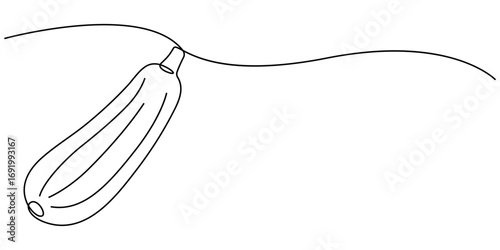 One continuous line drawing of whole healthy organic sponge gourd for farm logo identity. Fresh Egyptian cucumber concept for vegetable icon. Modern single line draw design vector graphic illustration