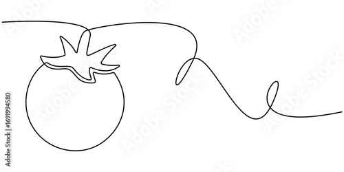 One continuous line drawing Tomato vegetable. Tomato single line illustration, Fresh tomatoes drawn with continuous line in minimalism, one line, editable vector outline. 