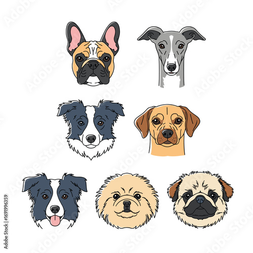 Collection of adorable dog faces featuring diverse breeds and expressions for art and design