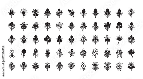 Collection of stylized leaf silhouettes with intricate line art patterns