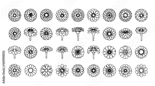 Collection of intricate oval floral and botanical designs silhouette