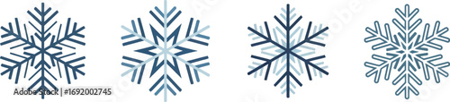 Four diverse snowflakes crystal winter pattern wintery cold ice snowfall decoration seasonal vector