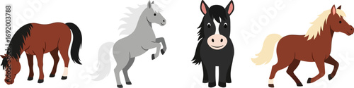 Four distinct horses diverse breeds galloping and standing isolated on dark backdrop vector