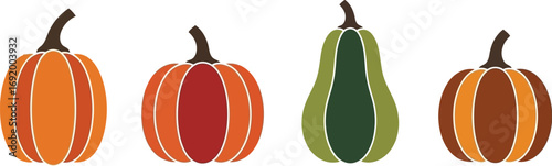 Four colorful autumn gourds lined up together featuring pumpkins squash and gourd varieties vector