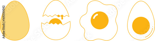 Four stages of egg preparation from whole to cooked egg displayed in sequence vector