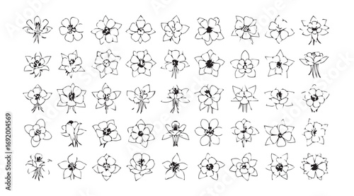 Collection of intricate abstract floral and insect like silhouette designs silhouette