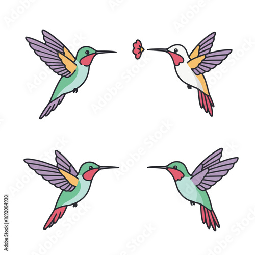 Flying hummingbirds, nectar seeking on white