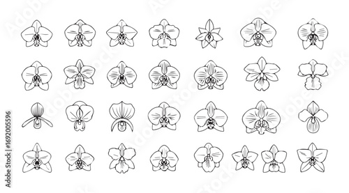 Collection of intricate floral and ornamental designs in a detailed silhouette style