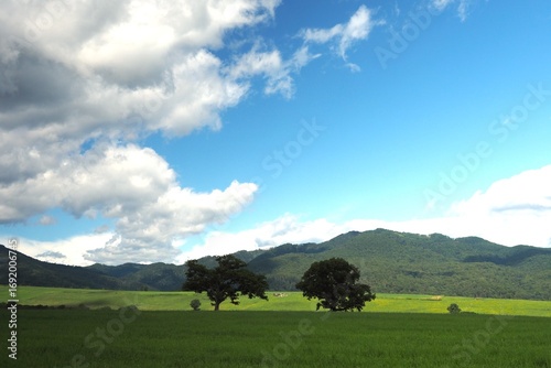 Naitai Highland Ranch, Hokkaido