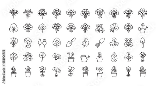 Collection of decorative ornamental flourishes and swirls in silhouette