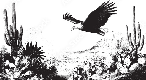 Eagle flying over desert with cactus, rocks, and mountains. Monochrome vintage vector illustration with strong nature and wildlife details.
