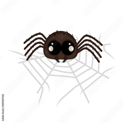Halloween celebrations, trick and treat, spider