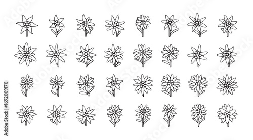 Collection of intricate ornamental floral designs in silhouette style