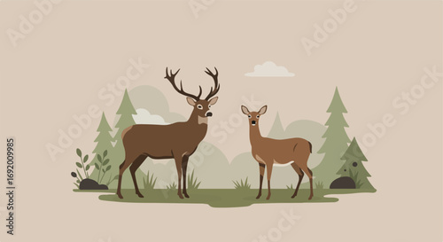 Deer couple in forest