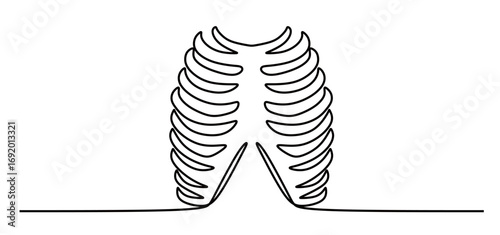 continuous line art of a human rib. this icon is for international radiology day

