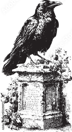 Raven perched on a stone monument with detailed vintage engraving. Monochrome vector illustration in classic style.