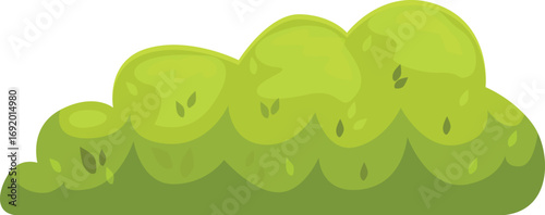 Green bush with round leaves growing in the garden