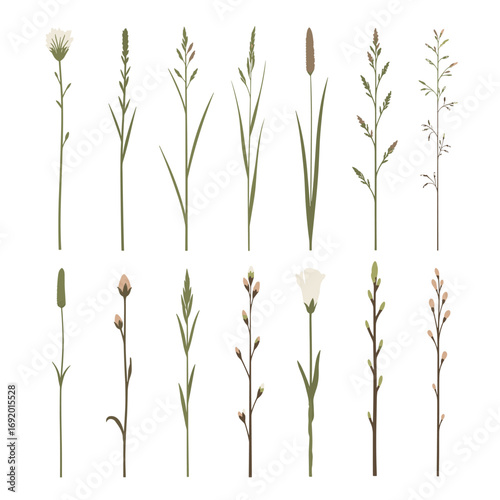 Collection of delicate wildflower stems and grasses in various styles