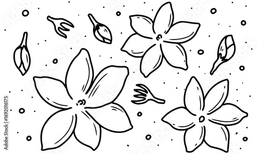 Seamless floral pattern with jasmine flower and leaves, a decorative vector design for a spring or summer backdrop