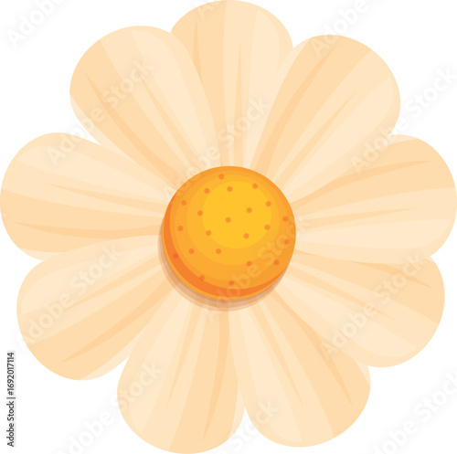 Beautiful chamomile flower with delicate petals and bright yellow center, creating a peaceful and natural image