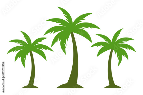 palm tree silhouette