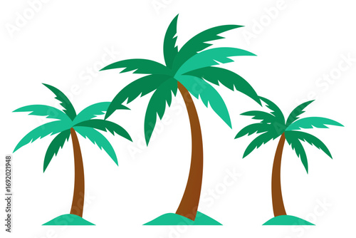 tropical palm trees