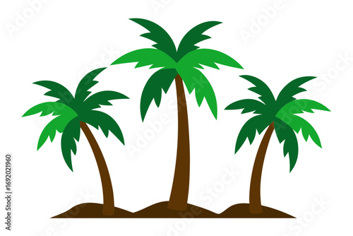 palm tree silhouette
