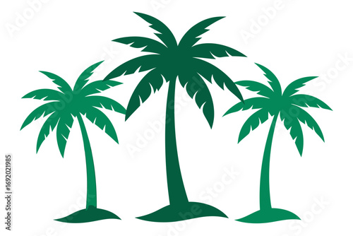 palm tree vector illustration