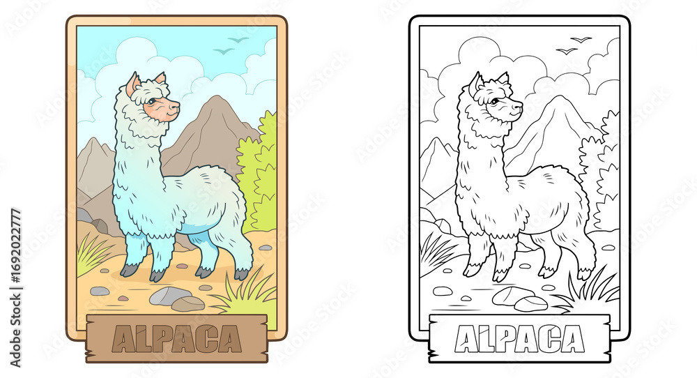 Fototapeta premium cute alpaca coloring book for children