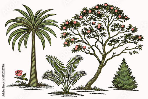 tropical palm trees
