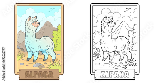cute alpaca coloring book for children