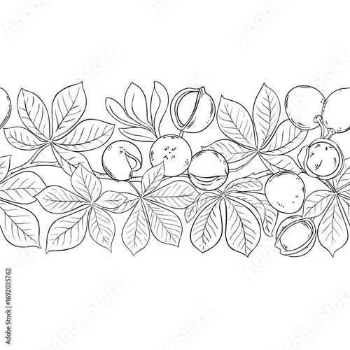 Mongongo Branch with Nuts and Leaves Outline Horizontal Seamless Pattern. Organic natural nutritional healthy food ingredient, vegetarian diet product. Vector isolated for design or decoration.