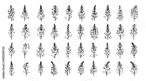 Collection of delicate floral and botanical line art silhouettes