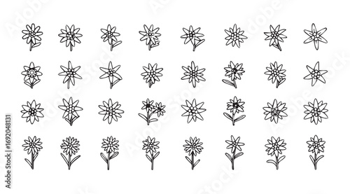 Collection of delicate floral silhouettes in a grid pattern silhouette