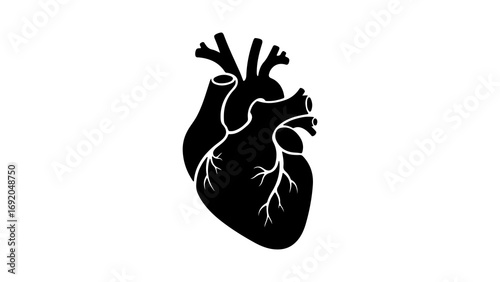 Black silhouette of an anatomical human heart icon.