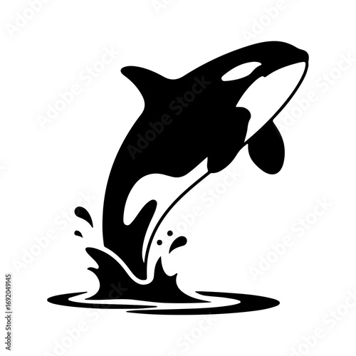 Jumping Orca Killer Whale Silhouette Vector Graphic.