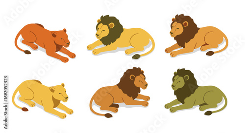 Isometric lions: colorful variations in relaxed poses on white background