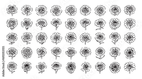 Collection of hand drawn floral silhouettes in a repeating pattern silhouette
