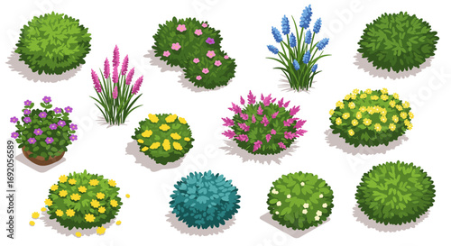 Collection of isometric flowering bushes and shrubs with various blossoms