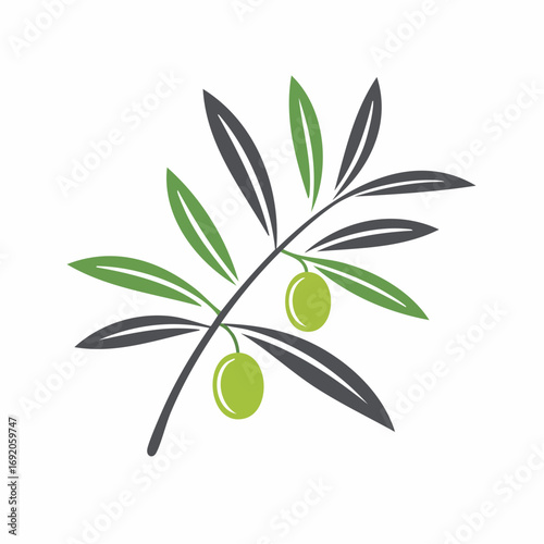 Simple Olive Branch With Leaves and Two Olives Illustration