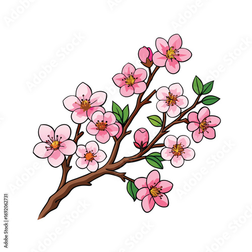 Beautiful illustration of a delicate cherry blossom bunch with elegant branches on a clean white background