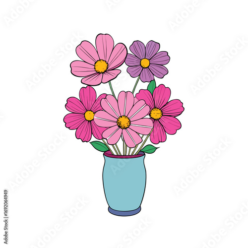 Beautiful cosmos flowers arranged elegantly in a vase on a clean white background for design
