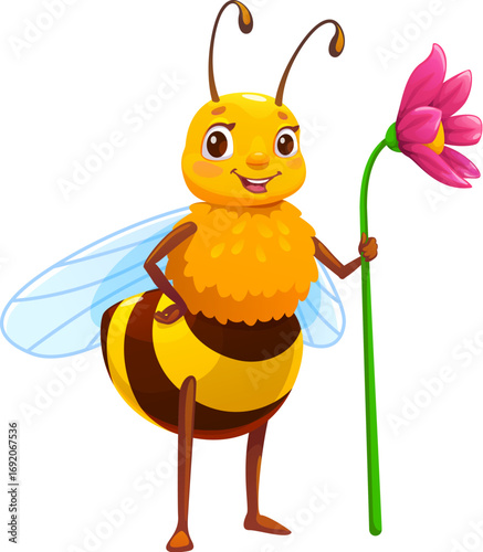 Cartoon honey bee character standing with pink flower in hand. Cheerful yellow honeybee insect personage with antennas and smiling face. Vector apiary mascot for beekeeping farm or garden pollination