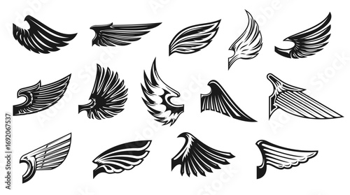 Eagle angel and cupid wings. Isolated vector set of black and white wings silhouettes in various shapes and line styles, for tattoos, emblems, decals, symbolizing freedom, speed, power or flight