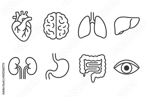 Outline icons of heart, brain, lungs, liver, kidneys, stomach, intestines, eye