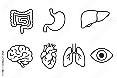 Simple line art icons of human organs including brain, heart, lungs, eye, stomach, liver, intestines