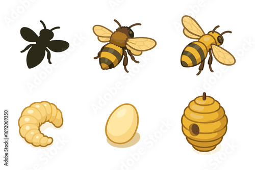 Bee life cycle stages: egg, larva, and adult honeybee with beehive