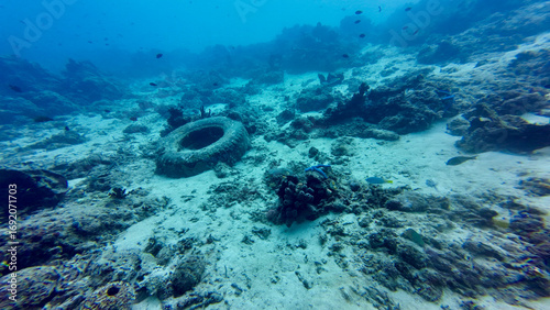 A car tire underwater on the seabed. An old tire covered in corals lies on the seabed among a coral reef.
